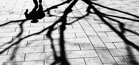 Ominous shadows of person and tree branches